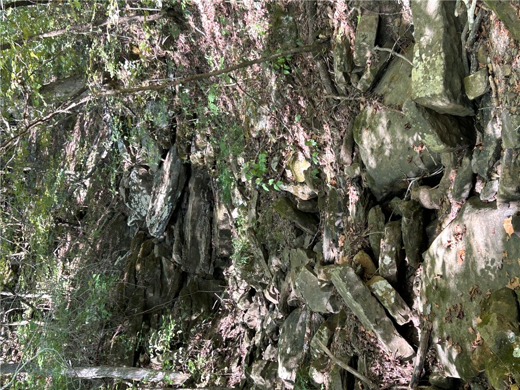 Image 42