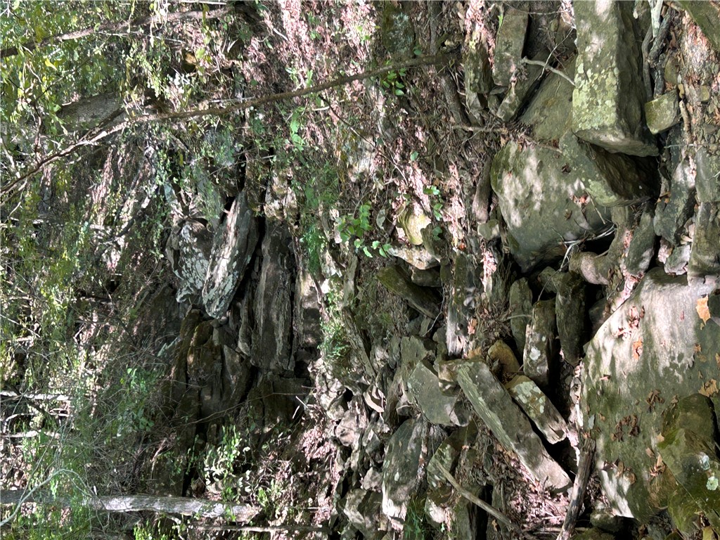 Image 43