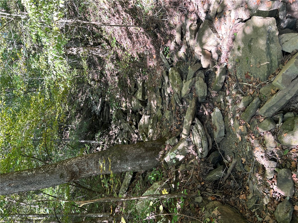 Image 44