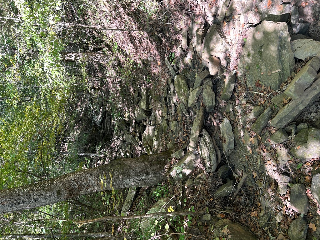 Image 45