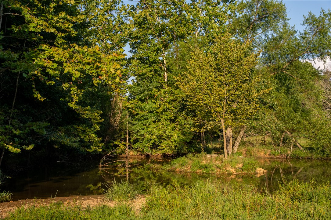 Image 14