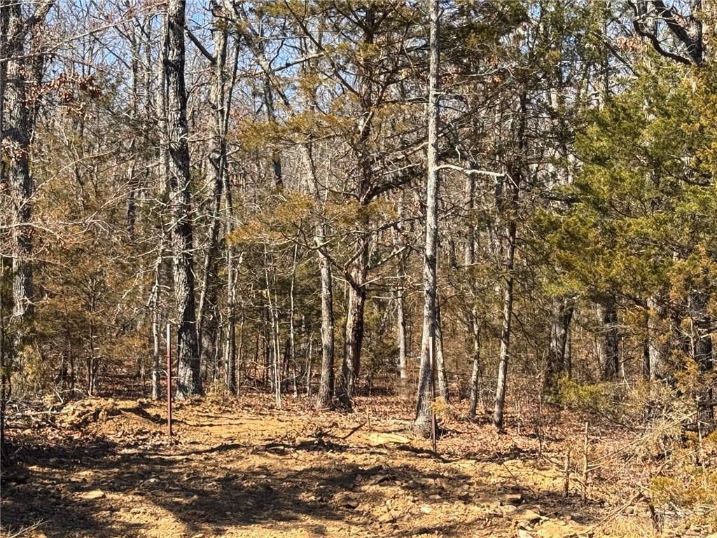 Image 10