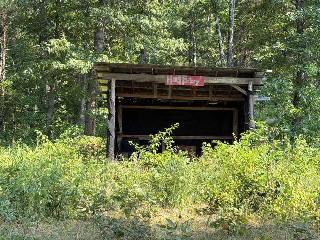 Image 12