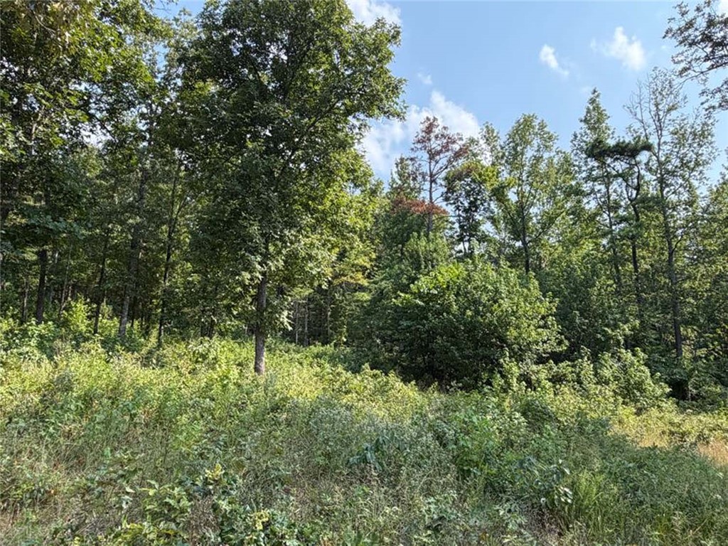 Image 13