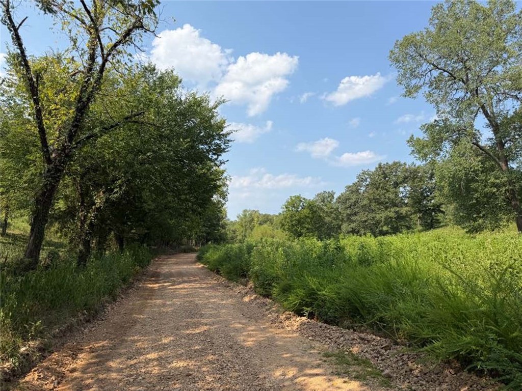 Image 18