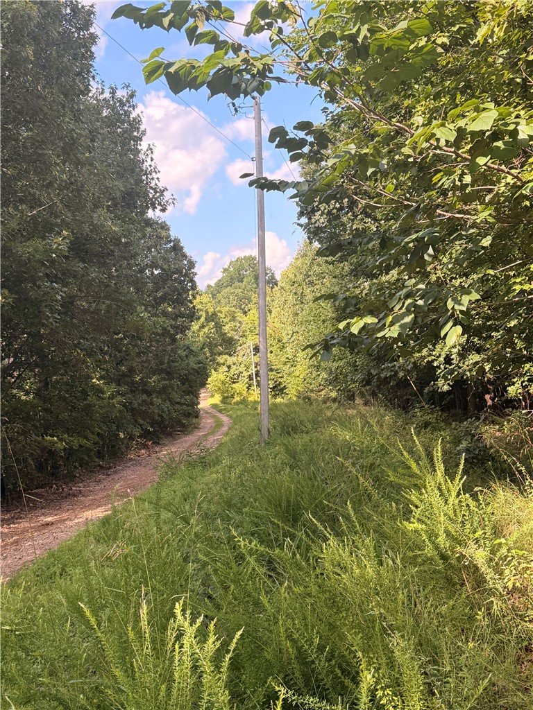 Image 15