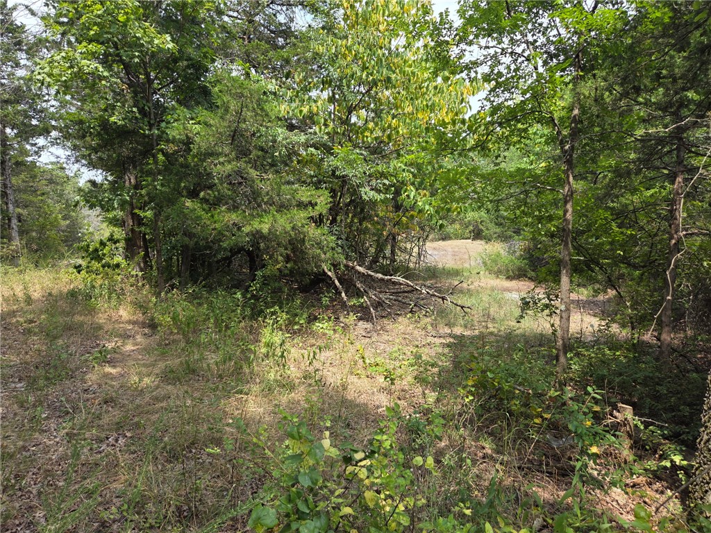 Image 10