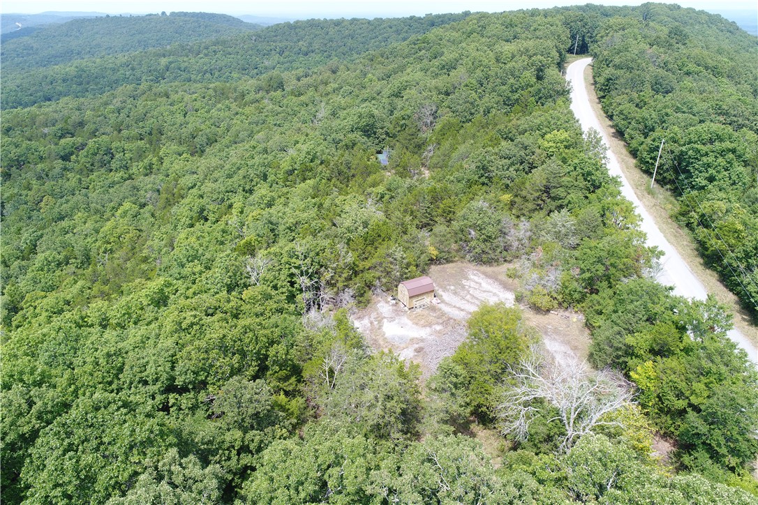 Image 12