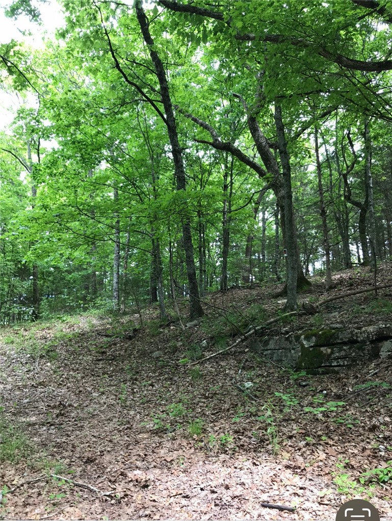 Image 15