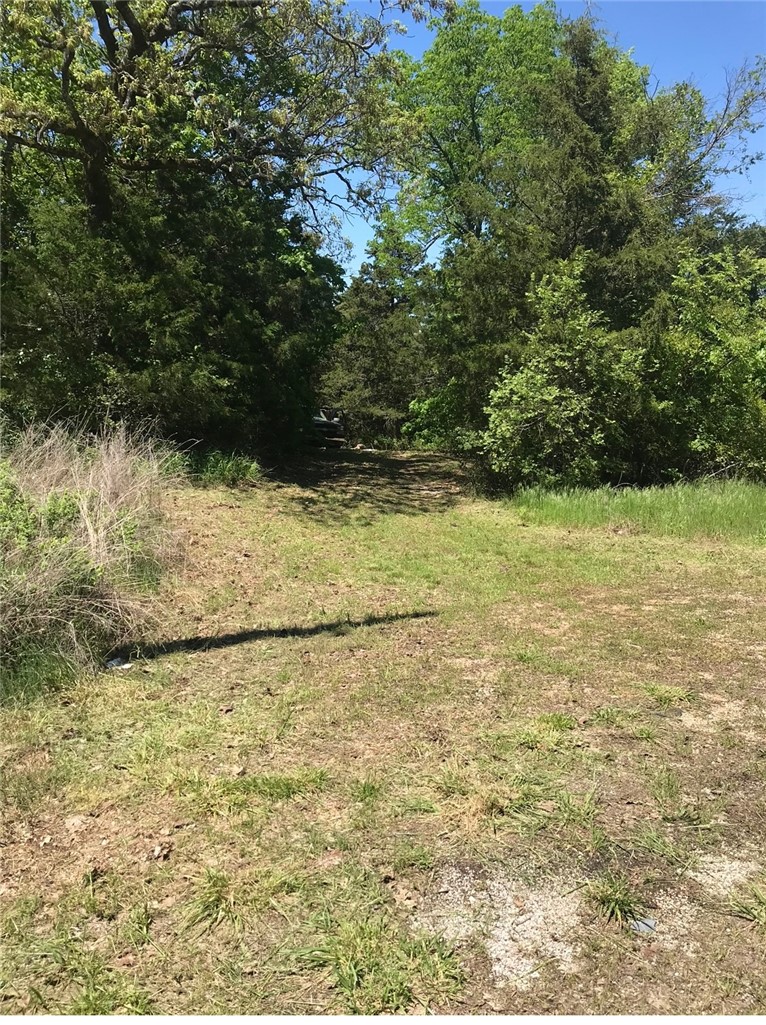 Image 21