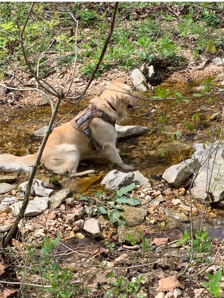 Image 23
