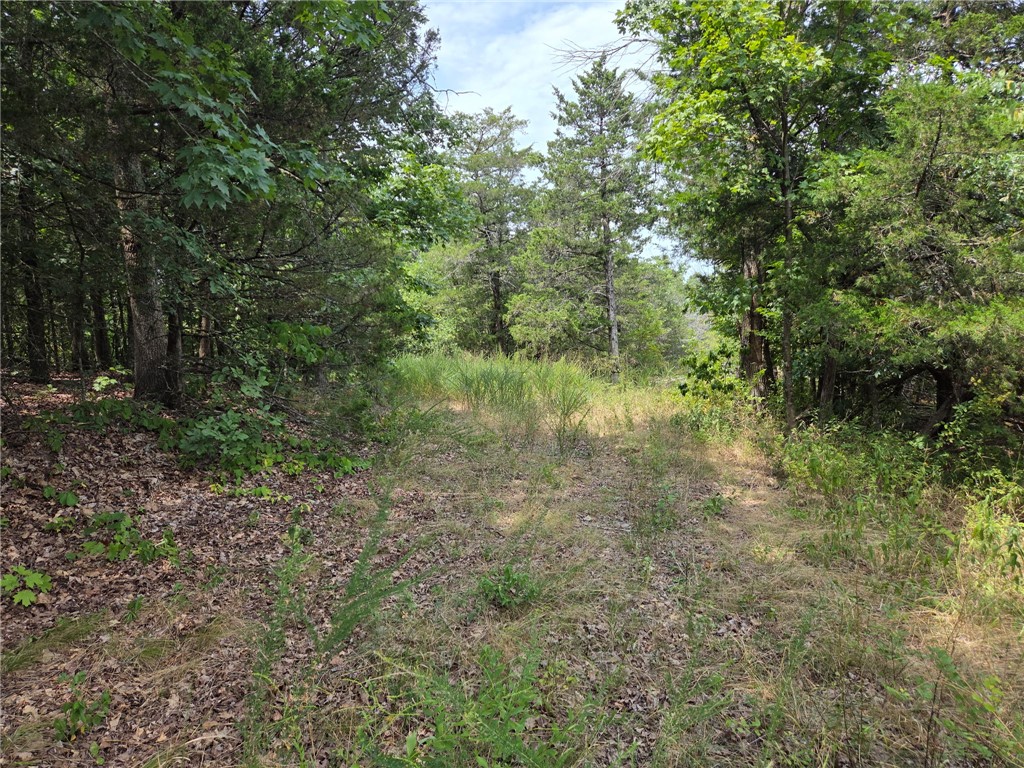 Image 8