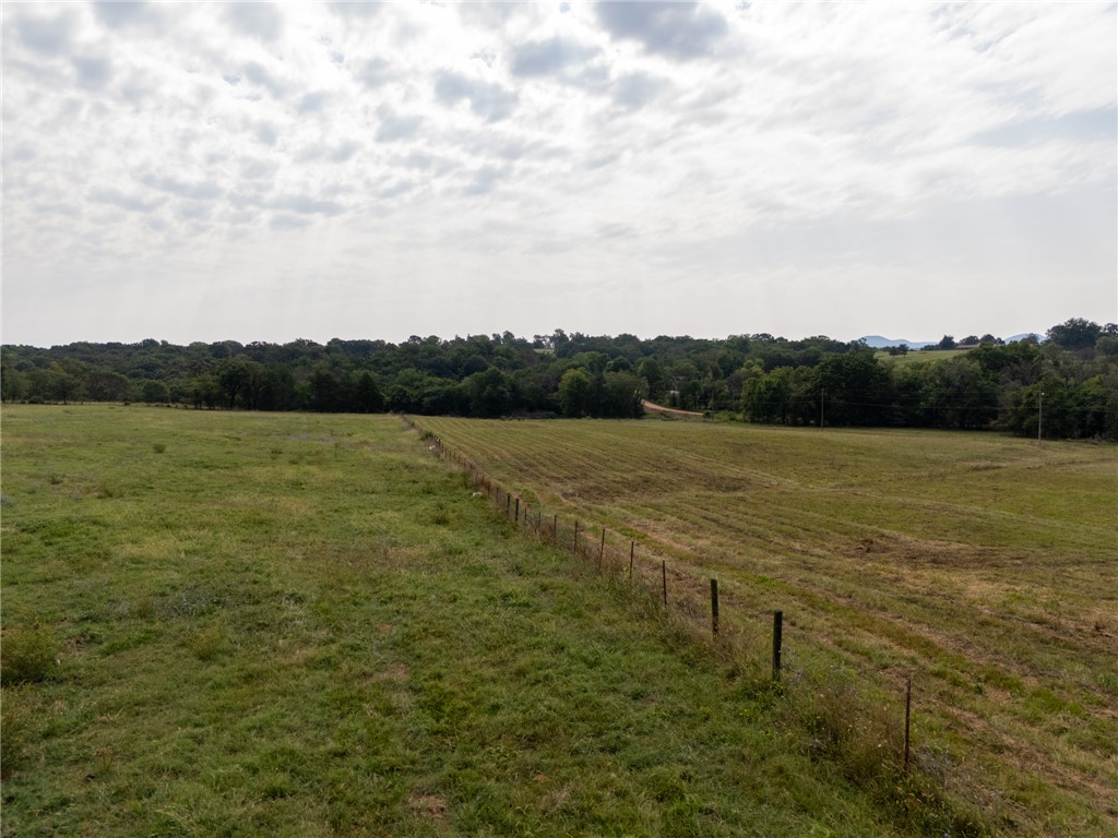 Image 31