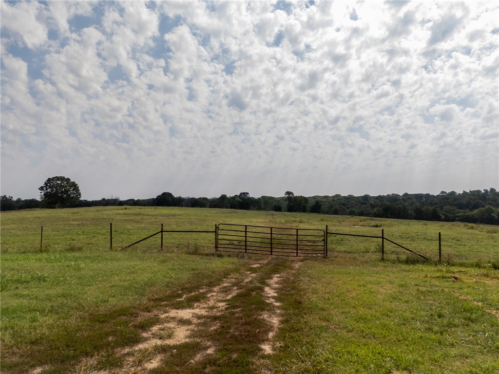 Image 37