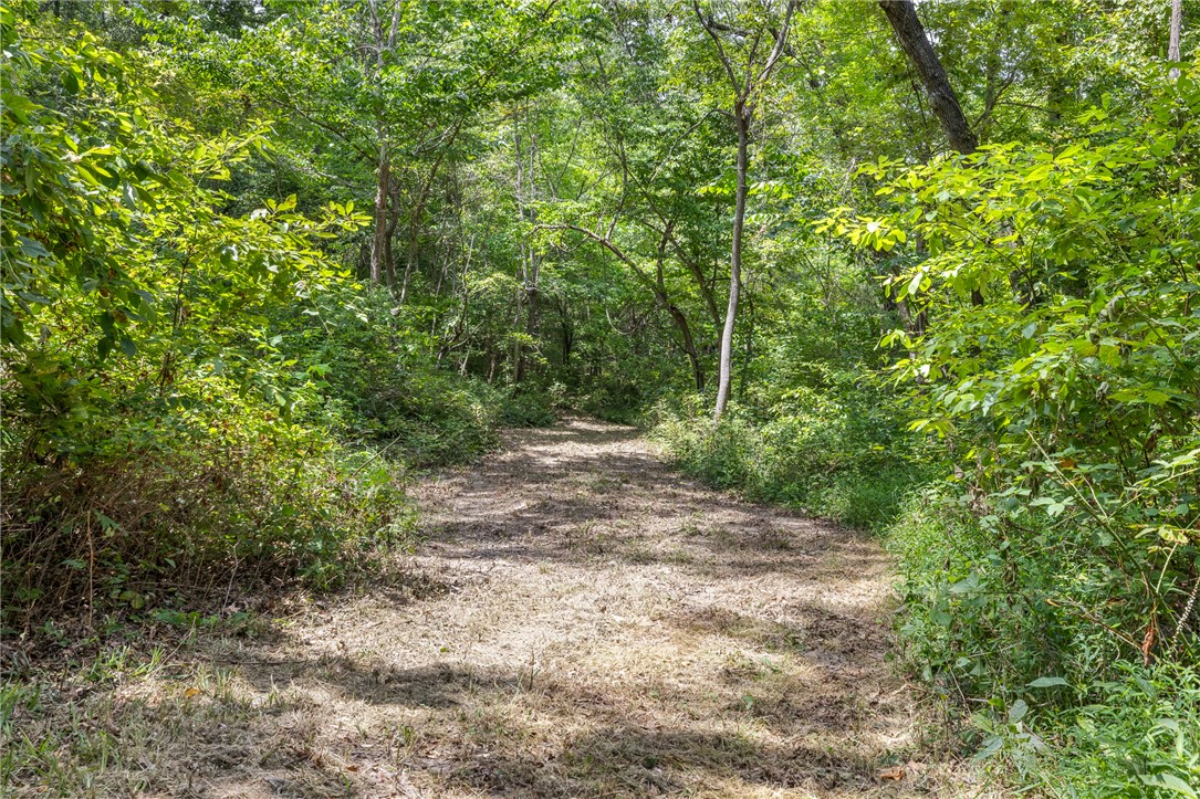 Image 32