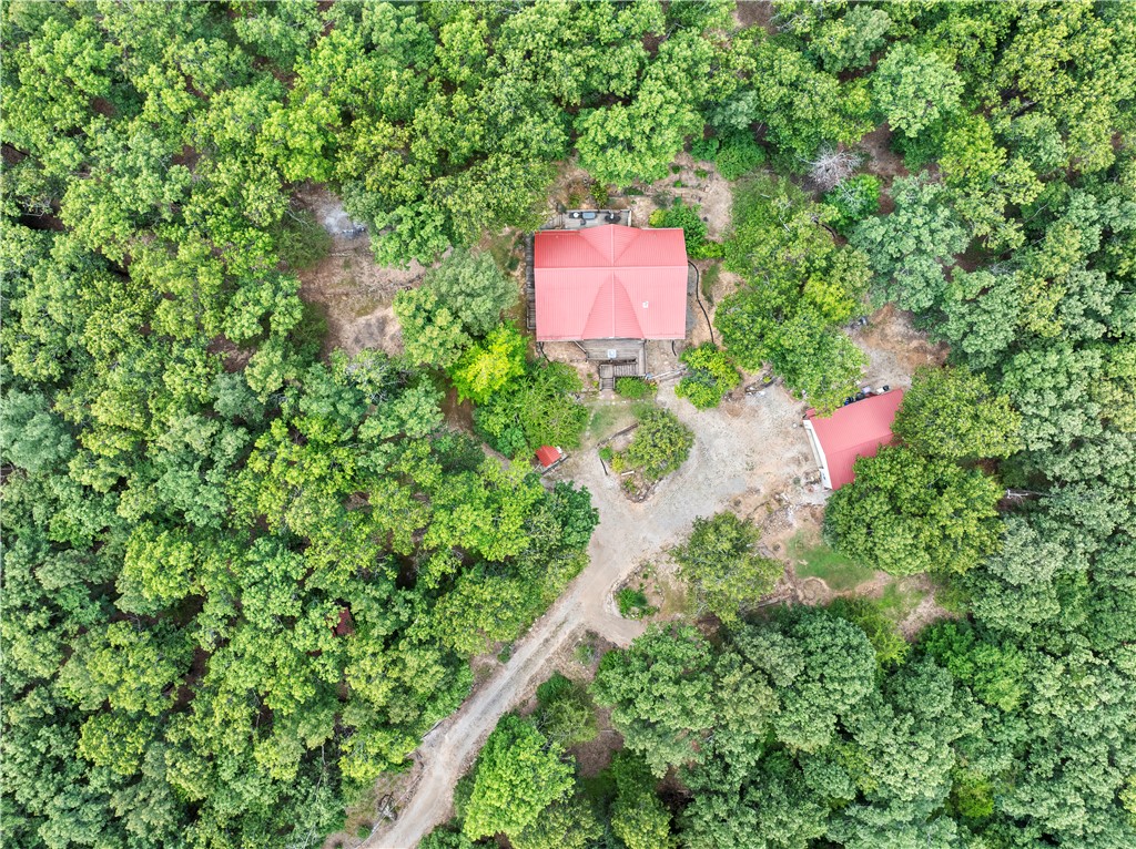 Image 13