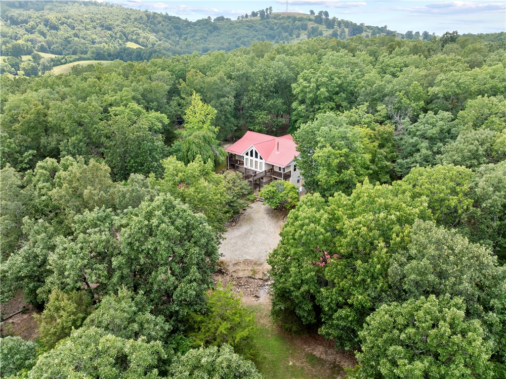 Image 9