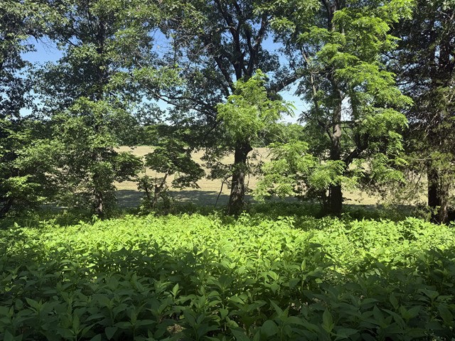 Image 10