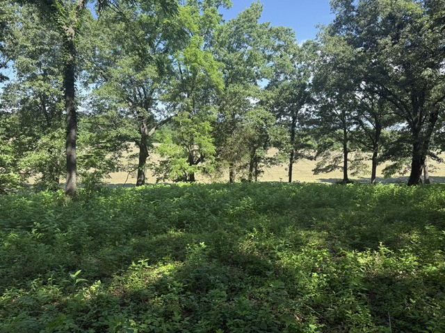 Image 9