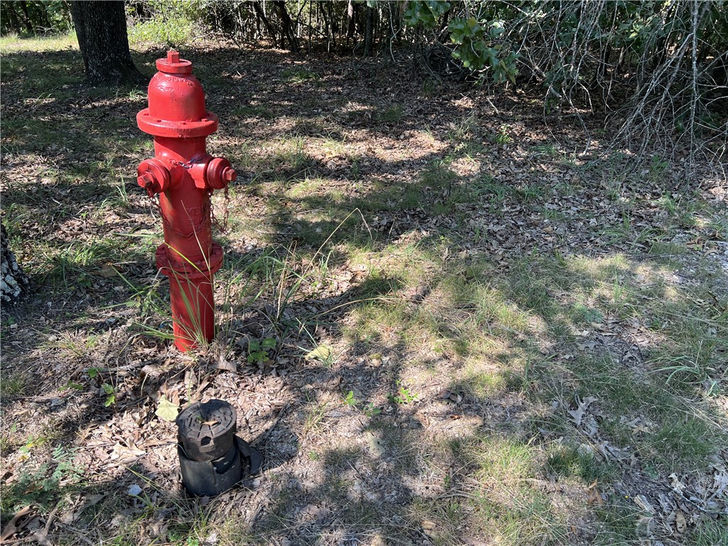 Image 9