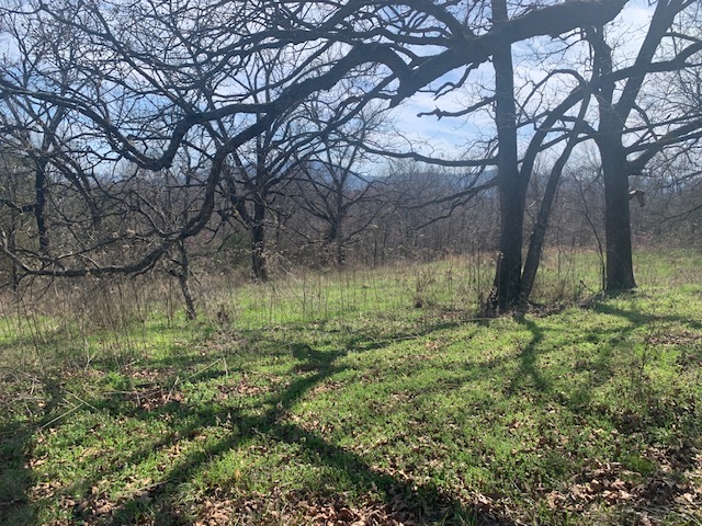 Image 13