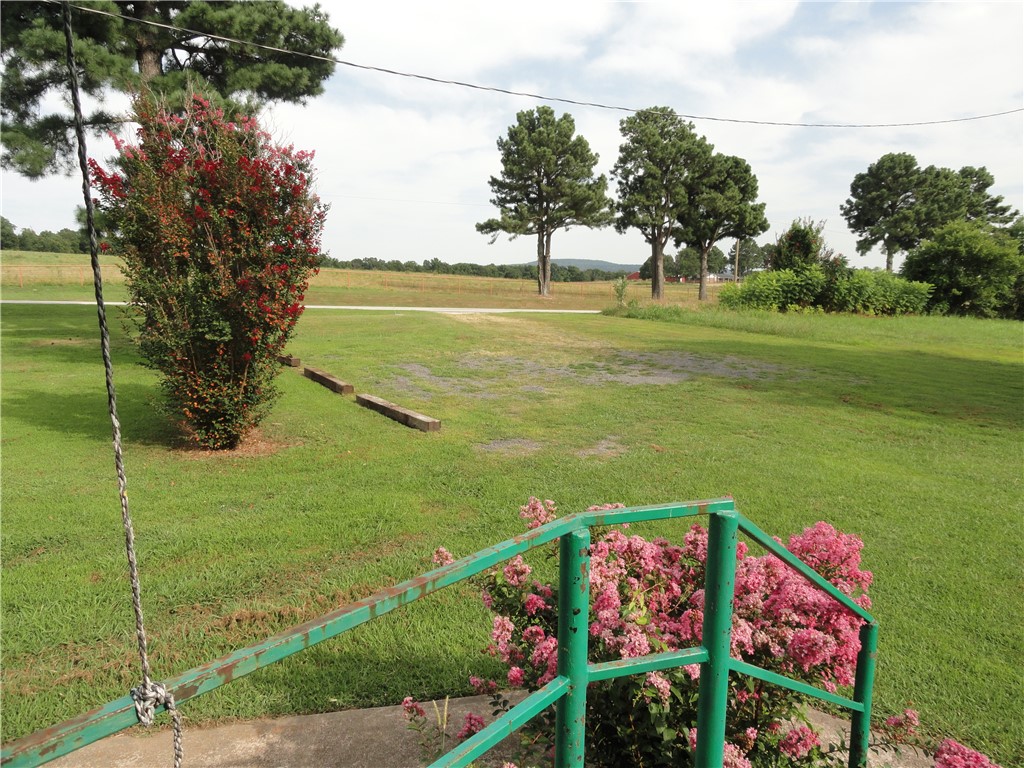 Image 19