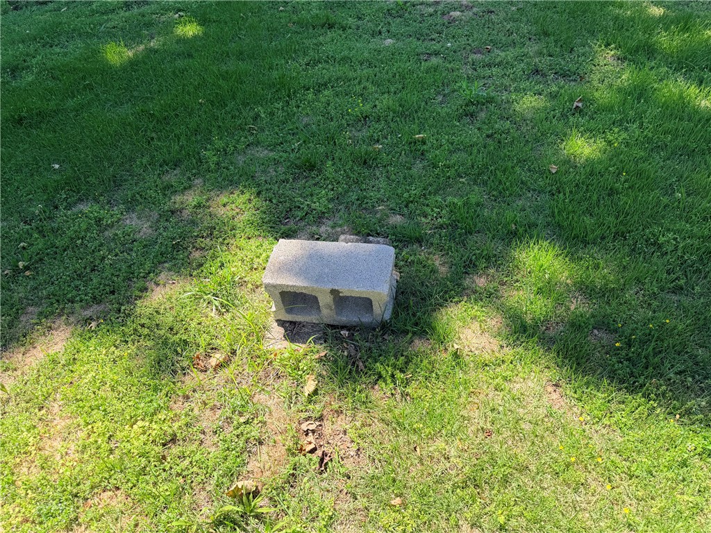 Image 31
