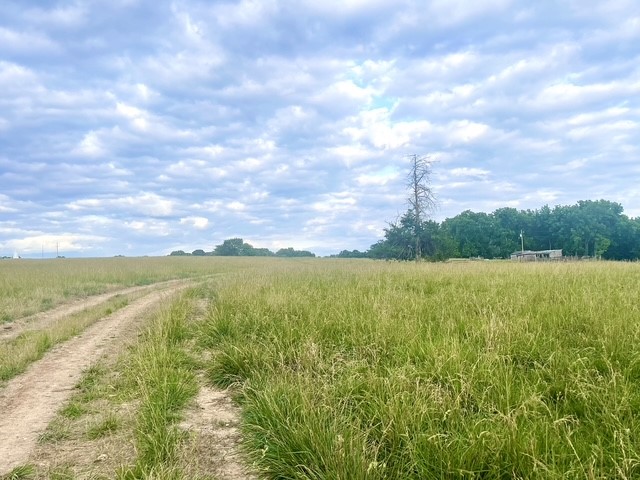 Image 13