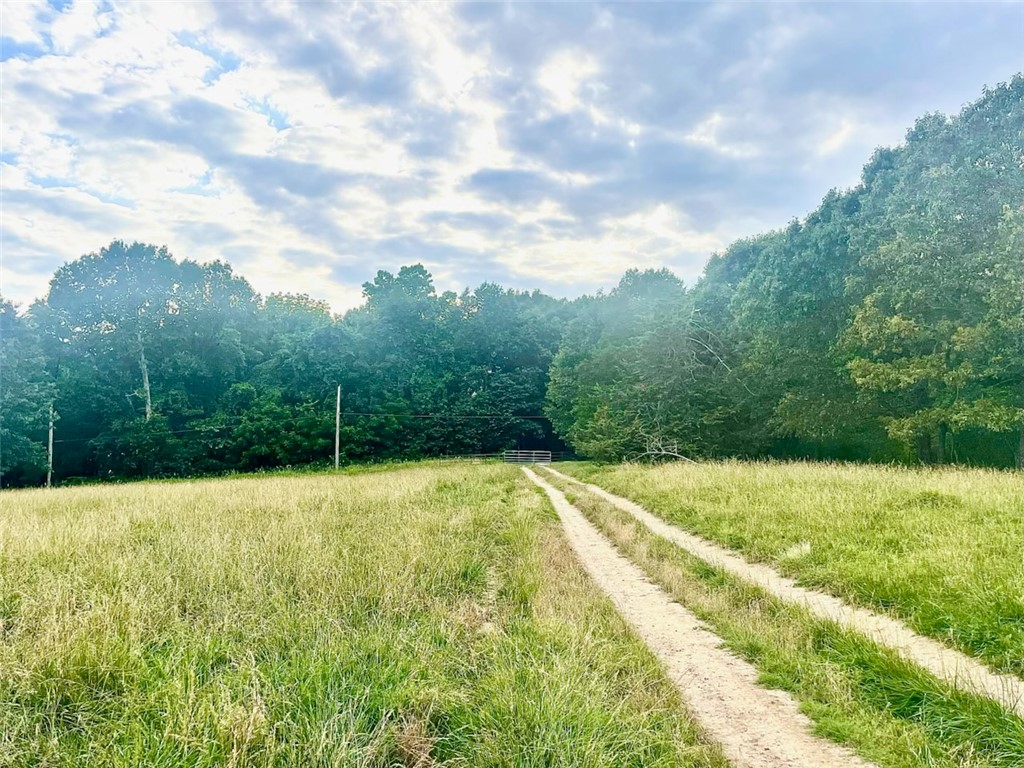Image 14