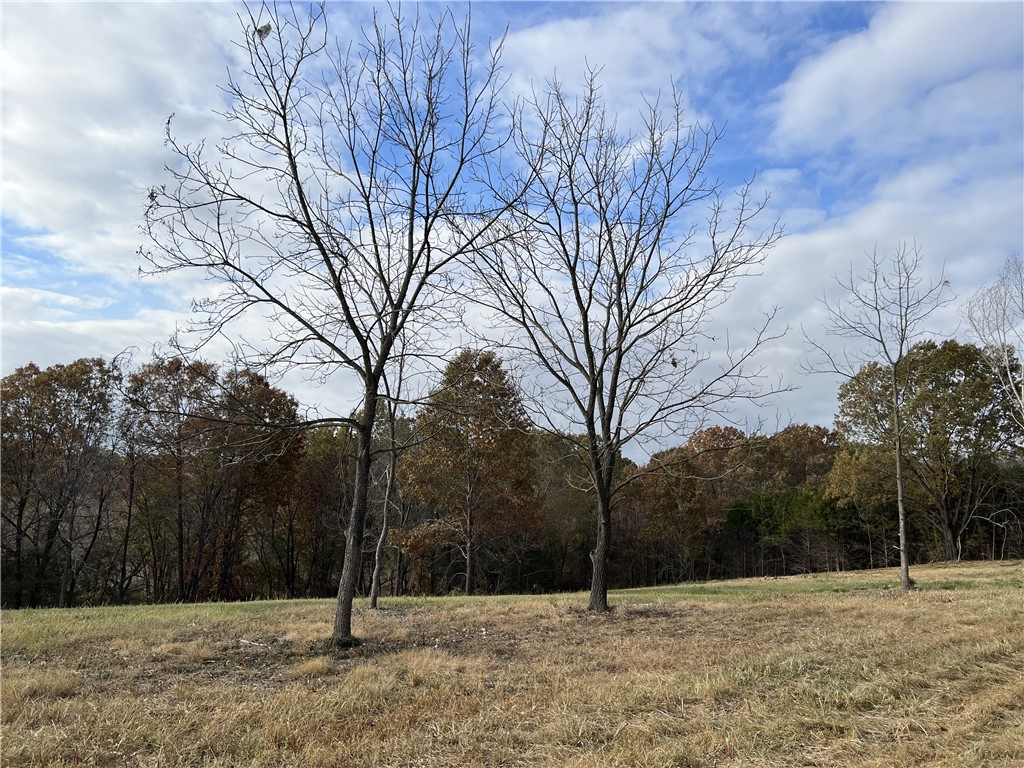 Ozark Haven Realty property-listing-thumbnail
