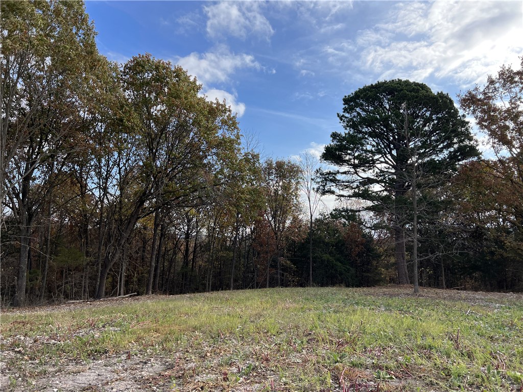 Image 12