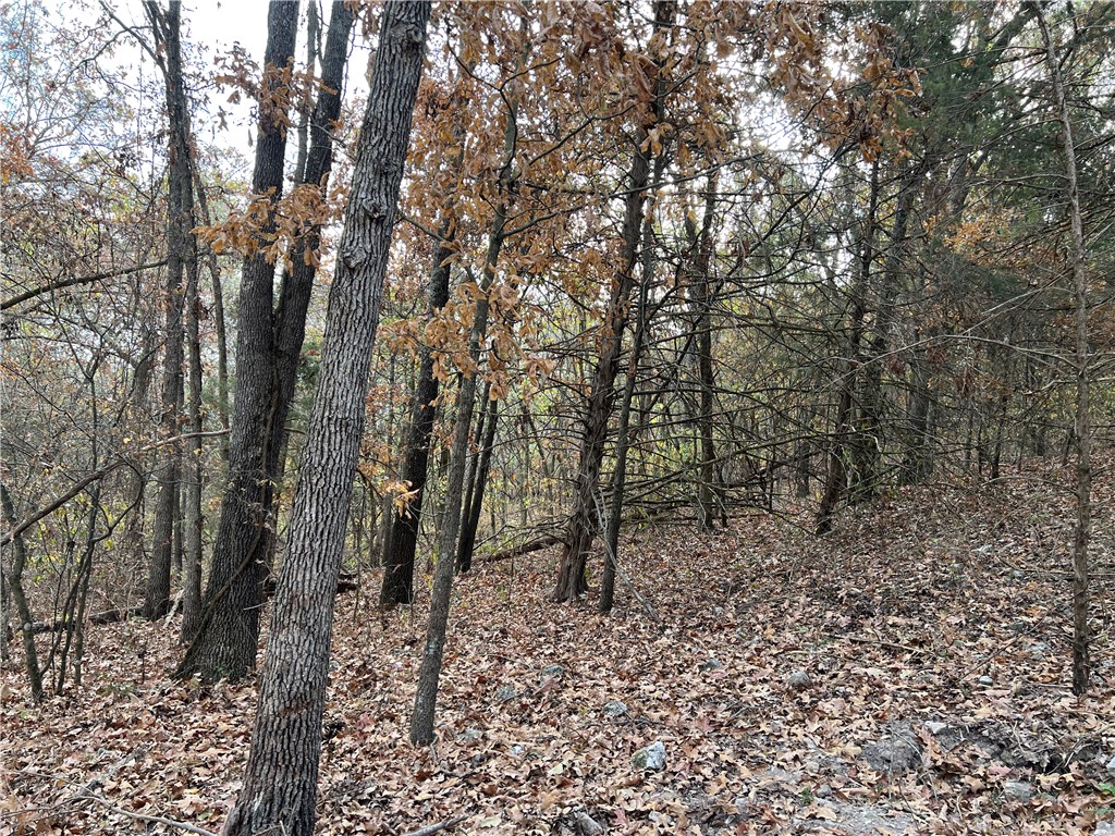 Image 9