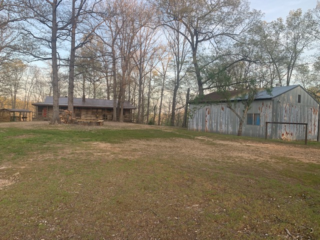 Image 6