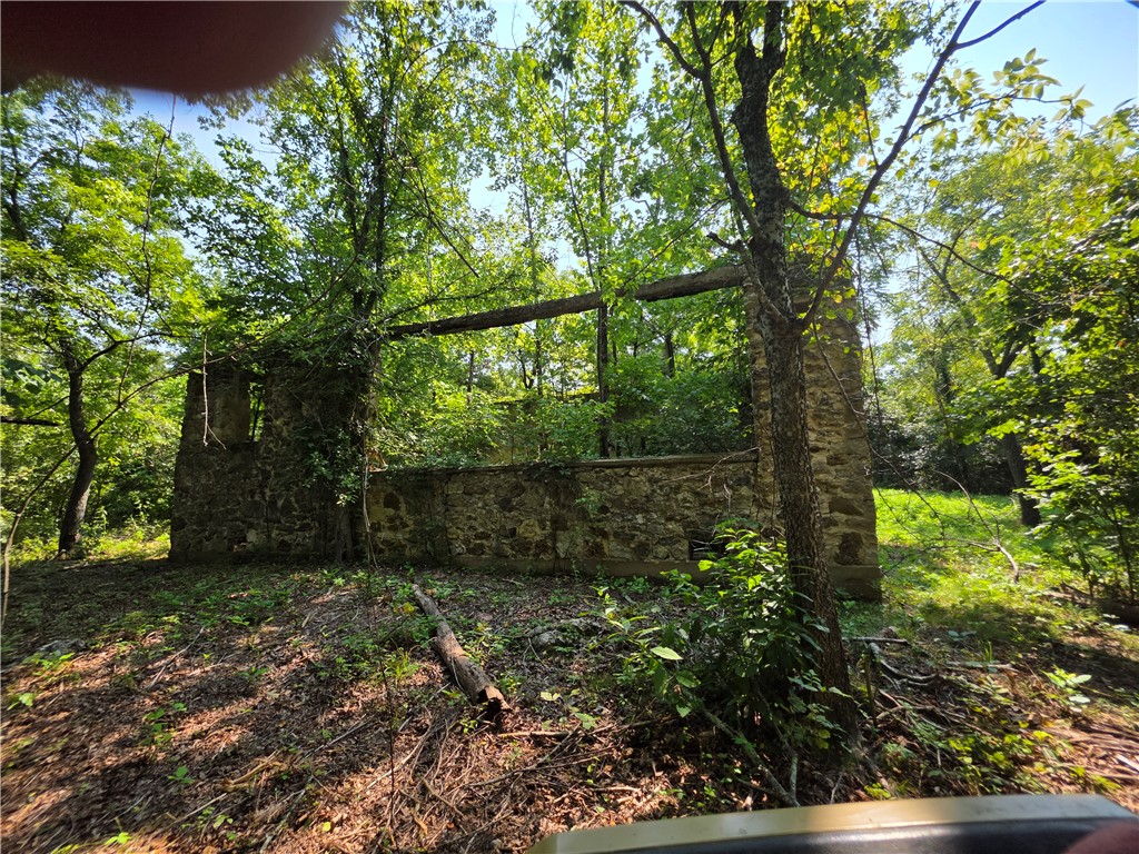 Image 11