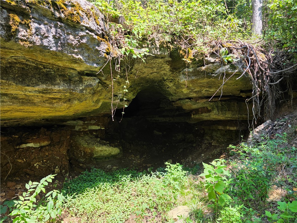 Image 12