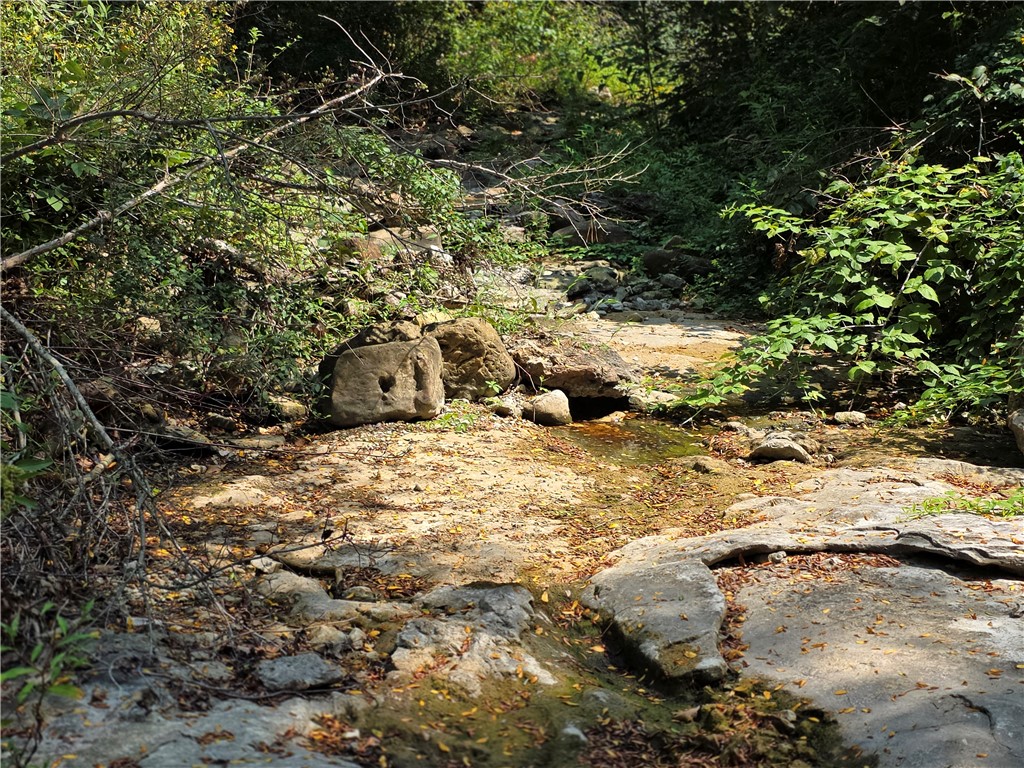 Image 13