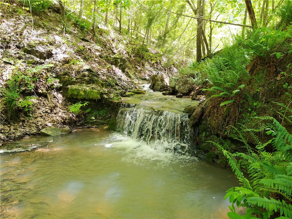Image 14