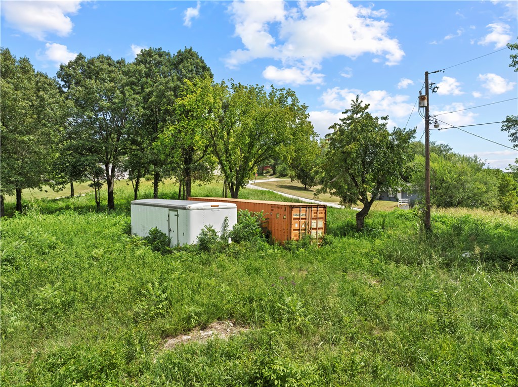 Image 11