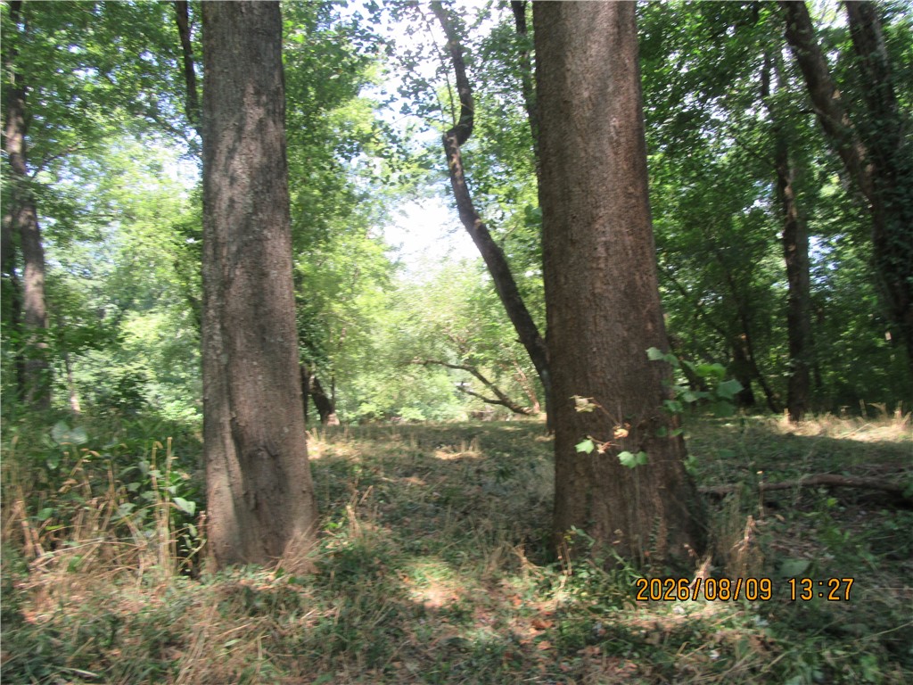 Image 22