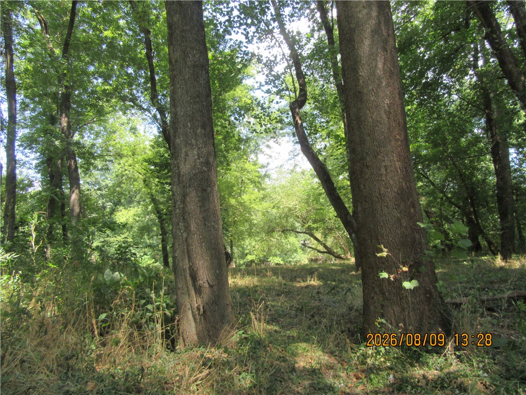 Image 23