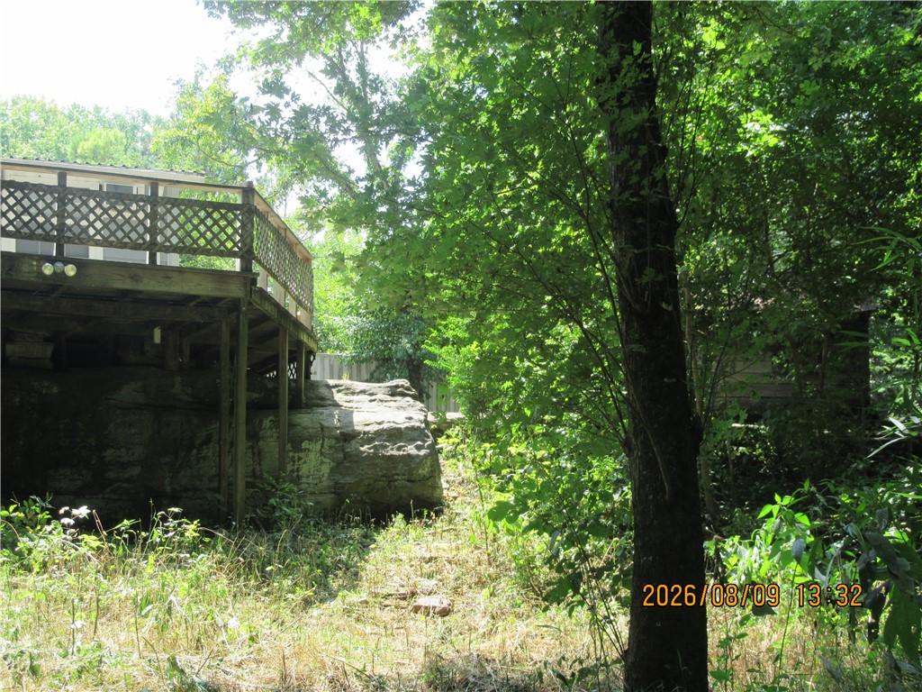 Image 30