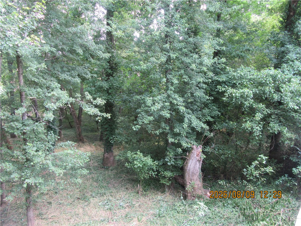 Image 43