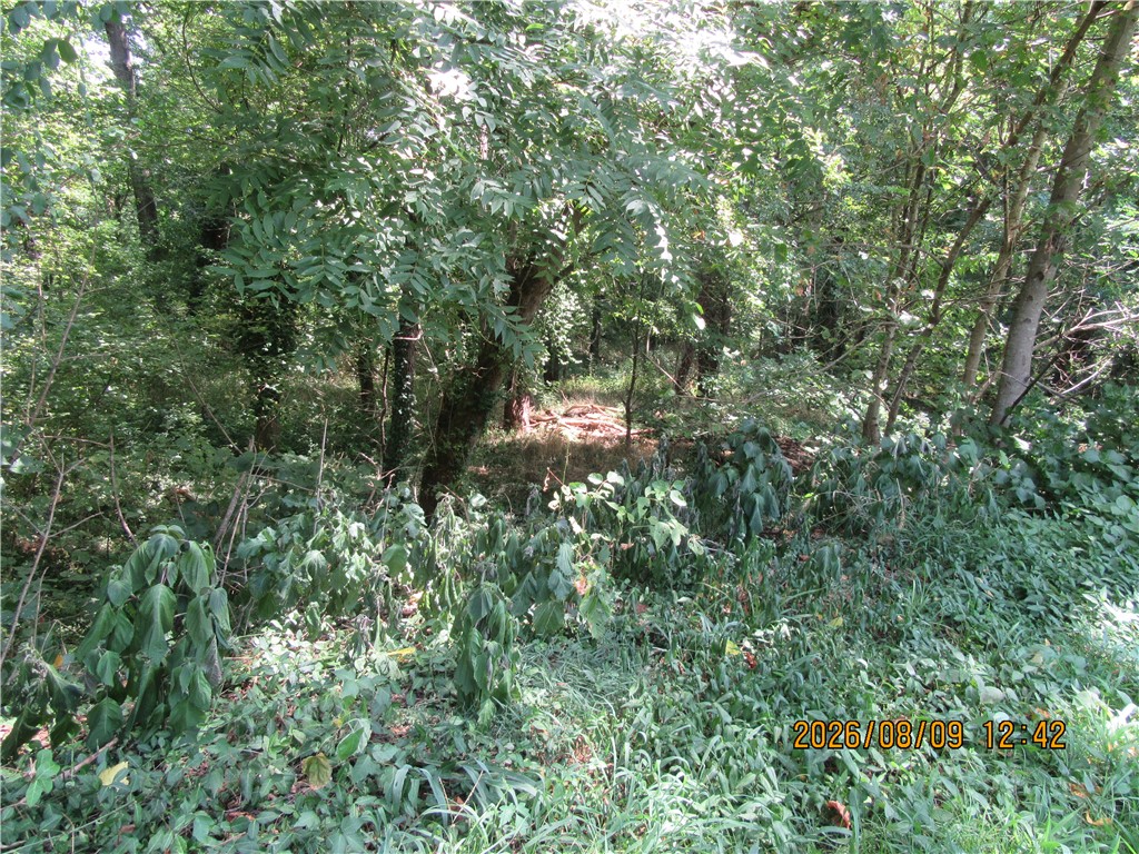 Image 44