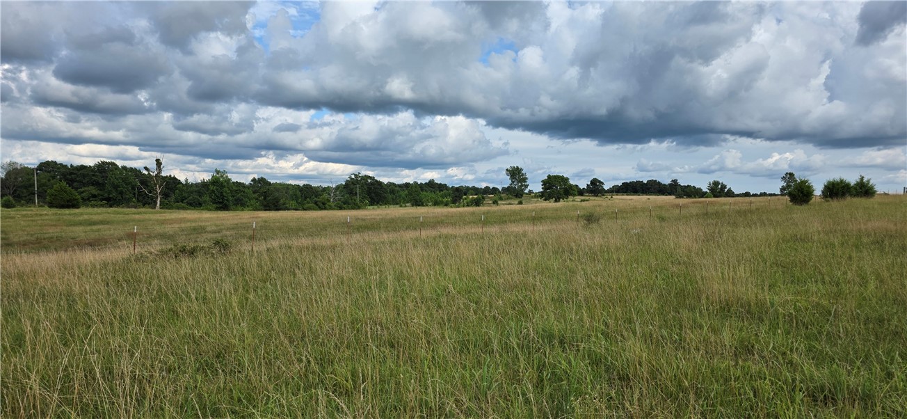 Image 16