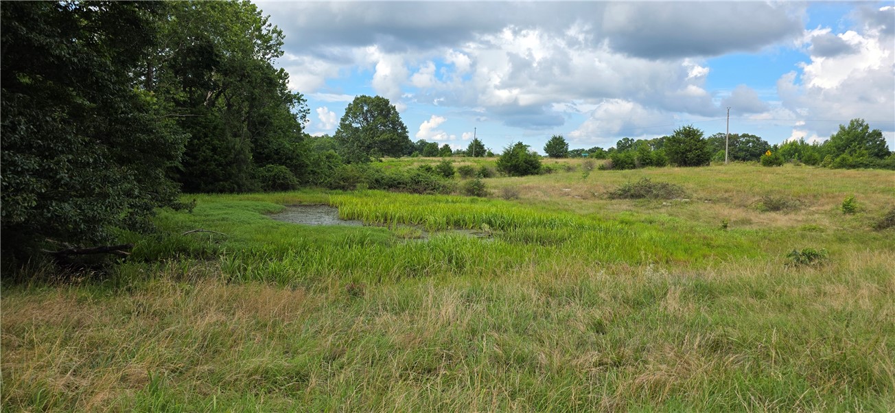 Image 18