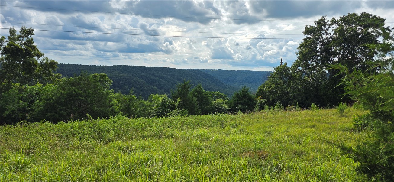Image 19