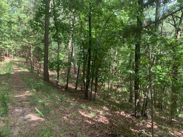 Image 13