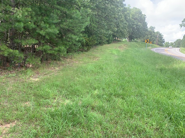 Image 14