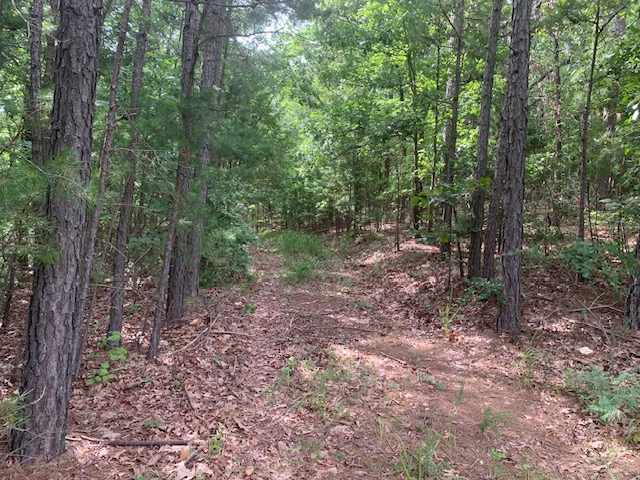 Image 18