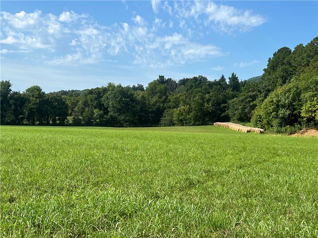 Image 16
